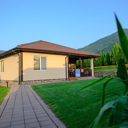 Вилен Комплекс Дарибел Sapareva Banya Exterior photo