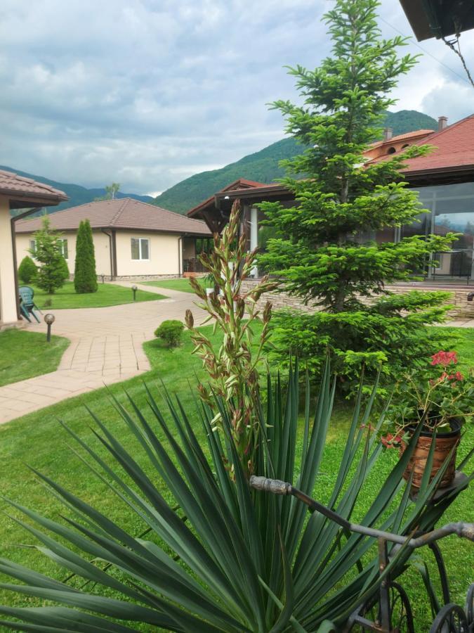 Вилен Комплекс Дарибел Sapareva Banya Exterior photo
